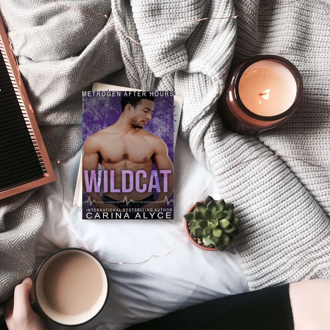 Wildcat: A Steamy Opposites Attract Sports Romance Paperback